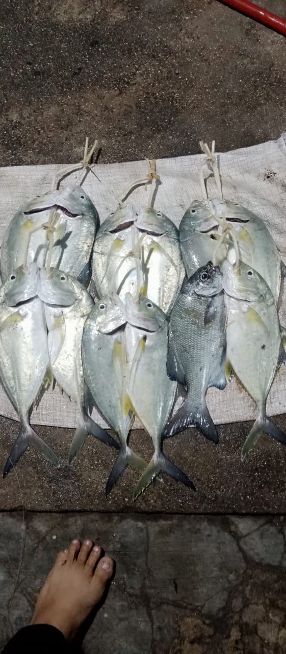 HASIL PERIKANAN NELAYAN DESA BUBUHAN